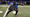Deceleration and ACL Injury Risk?