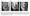 Stress Relaxation & Nutrition: NBA Case Study for Patellar Tendinopathy